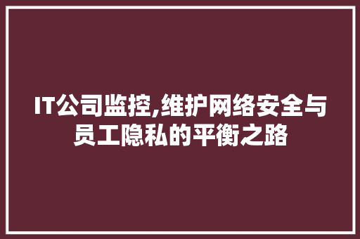 IT公司监控,维护网络安全与员工隐私的平衡之路