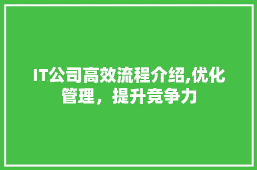 IT公司高效流程介绍,优化管理，提升竞争力