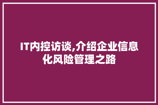 IT内控访谈,介绍企业信息化风险管理之路 SQL