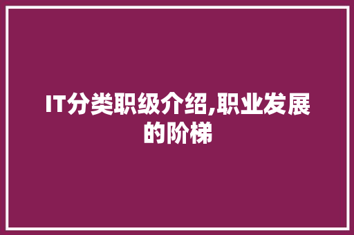 IT分类职级介绍,职业发展的阶梯