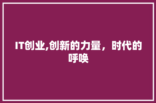 IT创业,创新的力量，时代的呼唤