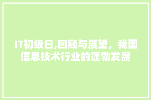 IT初级日,回顾与展望，我国信息技术行业的蓬勃发展