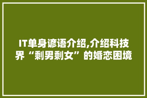 IT单身谚语介绍,介绍科技界“剩男剩女”的婚恋困境