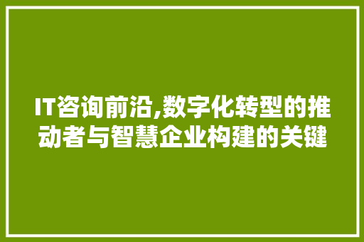 IT咨询前沿,数字化转型的推动者与智慧企业构建的关键 HTML