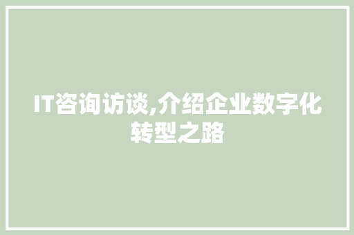 IT咨询访谈,介绍企业数字化转型之路