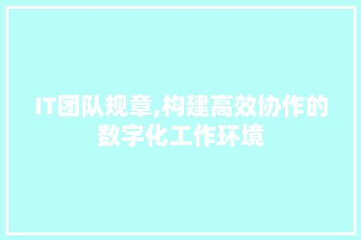 IT团队规章,构建高效协作的数字化工作环境