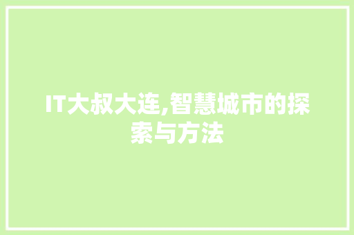 IT大叔大连,智慧城市的探索与方法