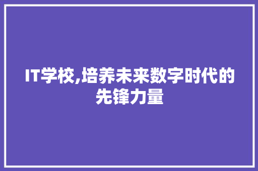 IT学校,培养未来数字时代的先锋力量