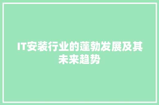 IT安装行业的蓬勃发展及其未来趋势