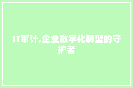 IT审计,企业数字化转型的守护者