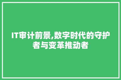 IT审计前景,数字时代的守护者与变革推动者