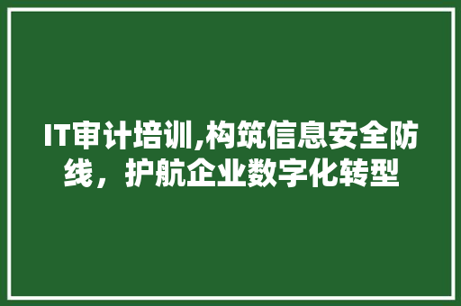 IT审计培训,构筑信息安全防线，护航企业数字化转型