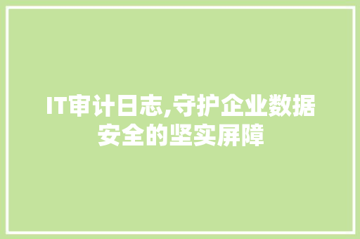 IT审计日志,守护企业数据安全的坚实屏障 PHP