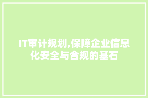 IT审计规划,保障企业信息化安全与合规的基石