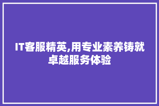 IT客服精英,用专业素养铸就卓越服务体验