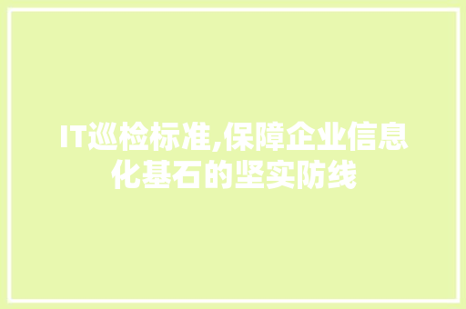 IT巡检标准,保障企业信息化基石的坚实防线