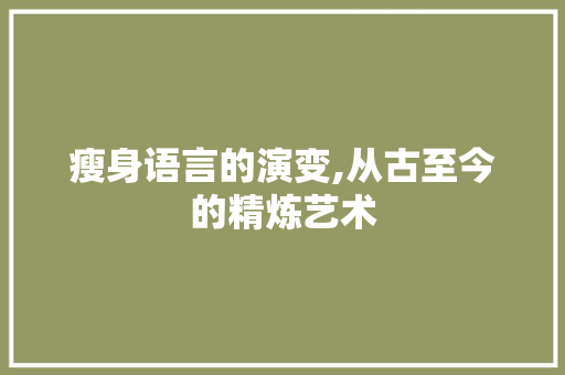 瘦身语言的演变,从古至今的精炼艺术 RESTful API