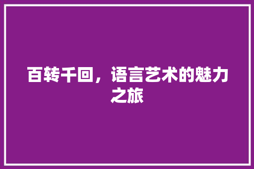 百转千回，语言艺术的魅力之旅