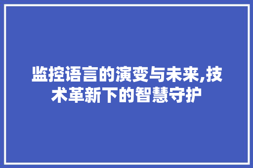 监控语言的演变与未来,技术革新下的智慧守护