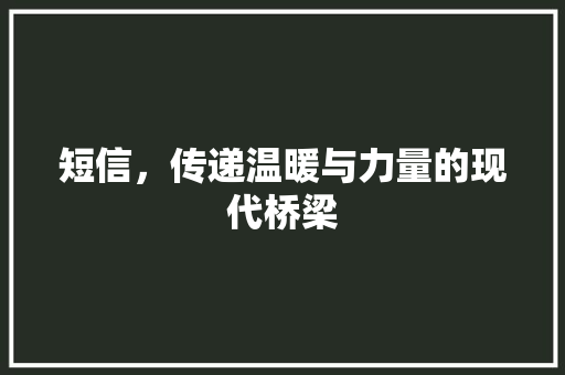 短信，传递温暖与力量的现代桥梁 Ruby