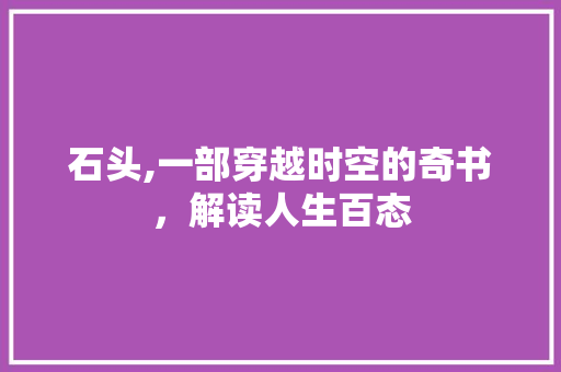 石头,一部穿越时空的奇书，解读人生百态