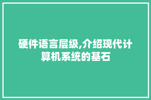 硬件语言层级,介绍现代计算机系统的基石 Vue.js