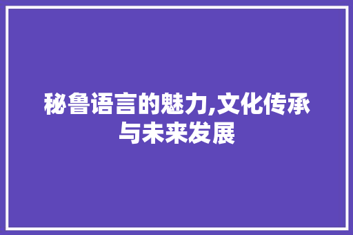 秘鲁语言的魅力,文化传承与未来发展