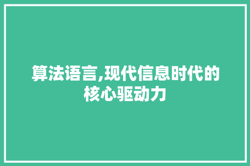 算法语言,现代信息时代的核心驱动力