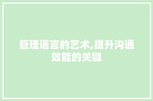 管理语言的艺术,提升沟通效能的关键