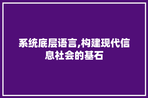 系统底层语言,构建现代信息社会的基石