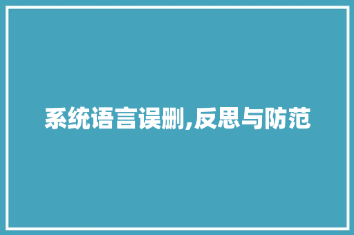 系统语言误删,反思与防范