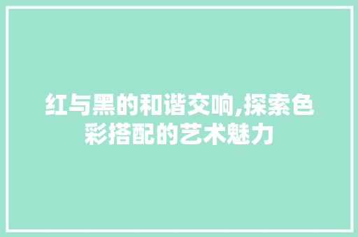 红与黑的和谐交响,探索色彩搭配的艺术魅力