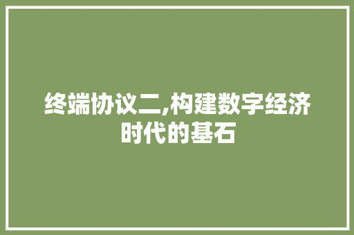 终端协议二,构建数字经济时代的基石