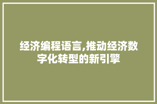 经济编程语言,推动经济数字化转型的新引擎