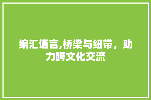 编汇语言,桥梁与纽带，助力跨文化交流