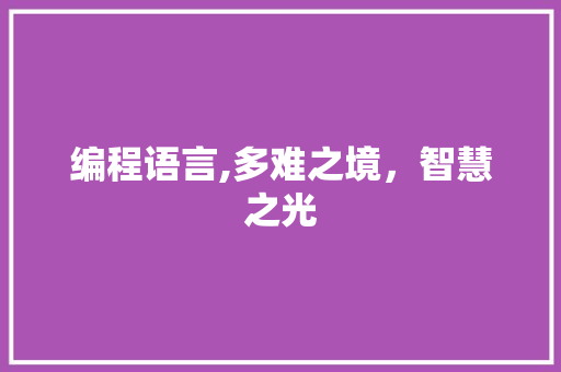 编程语言,多难之境，智慧之光