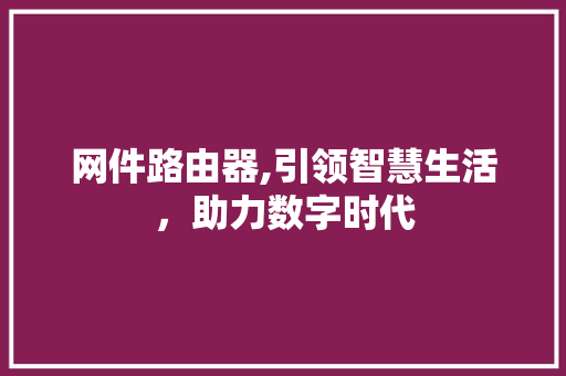 网件路由器,引领智慧生活，助力数字时代