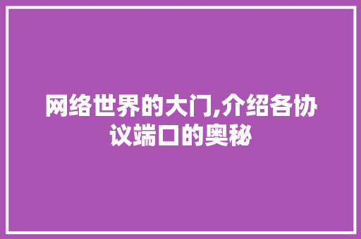 网络世界的大门,介绍各协议端口的奥秘