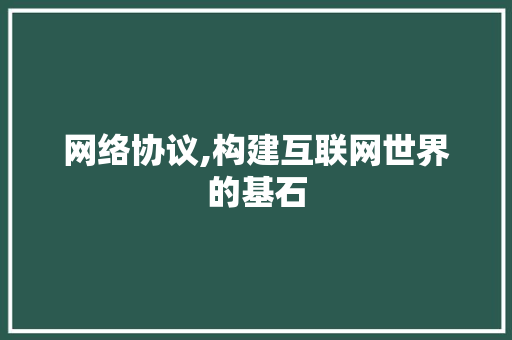 网络协议,构建互联网世界的基石