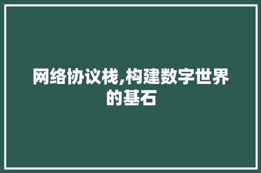 网络协议栈,构建数字世界的基石