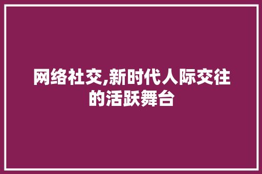 网络社交,新时代人际交往的活跃舞台