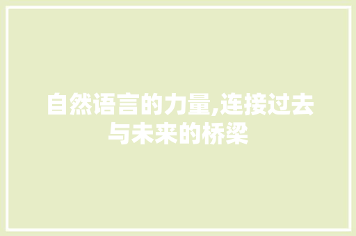 自然语言的力量,连接过去与未来的桥梁