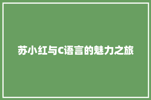 苏小红与C语言的魅力之旅