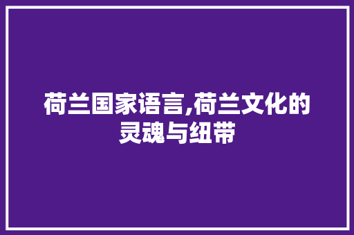 荷兰国家语言,荷兰文化的灵魂与纽带