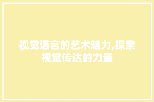 视觉语言的艺术魅力,探索视觉传达的力量