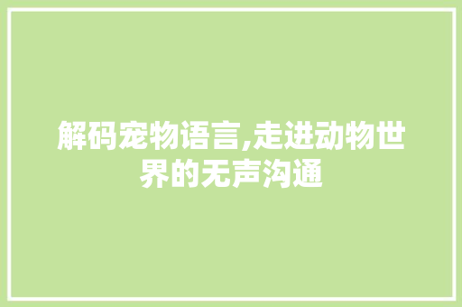 解码宠物语言,走进动物世界的无声沟通