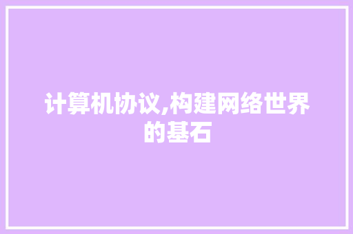 计算机协议,构建网络世界的基石