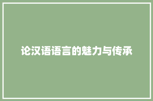 论汉语语言的魅力与传承