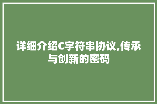 详细介绍C字符串协议,传承与创新的密码