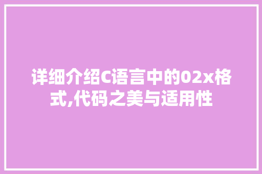 详细介绍C语言中的02x格式,代码之美与适用性